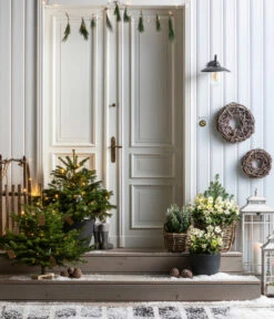 Dehner Kranz Weinrebe Frost, Ca. Ø48 Cm -Gartenbedarf Geschäft 8996100 8014870 8014557 8014722 8014847 WE MO 001 AbiesNordmannianaHolzkreuzWeihnachtsbaeume